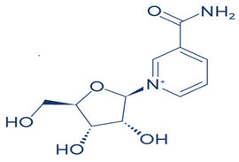 Scientists Link NAD+ Supplements to Reduced Biomarkers in the Brain